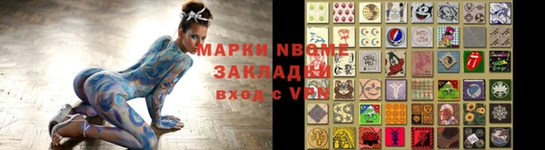крисы Козельск