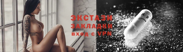 крисы Козельск
