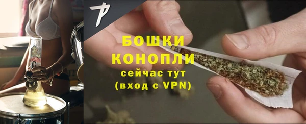 мдпв Козловка
