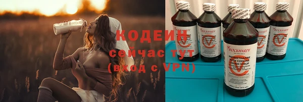 крисы Козельск