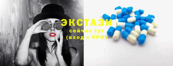 крисы Козельск