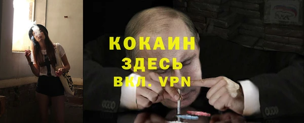 соль ск Кодинск