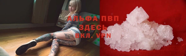 крисы Козельск