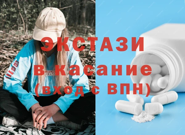 крисы Козельск