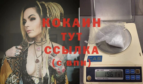 мдпв Козловка