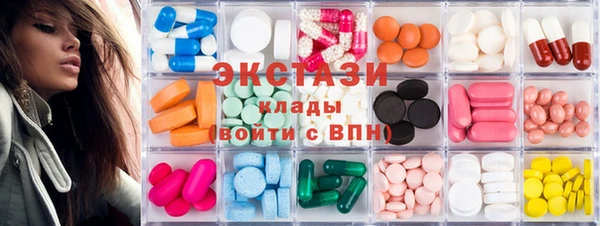 крисы Козельск