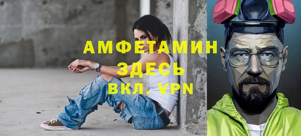 крисы Козельск