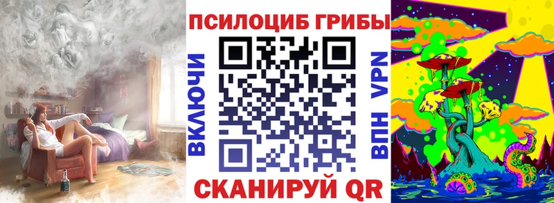 Купить где  Демидов  Псилоцибиновые грибы Psilocybine cubensis 